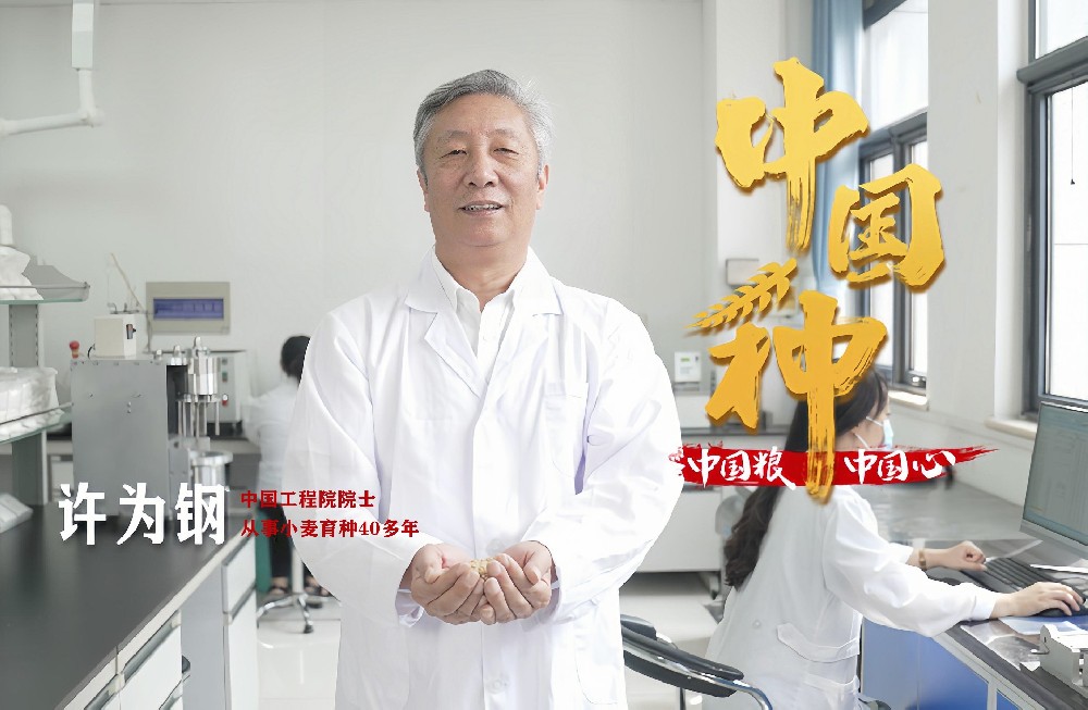 热烈欢迎许为钢院士等专家莅临农高种业指导工作